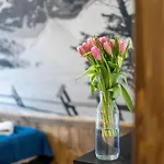 Tatrzanskie Tarasy Luxury * Ciche Małe