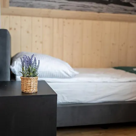Tatrzanskie Tarasy Luxury Chalet *